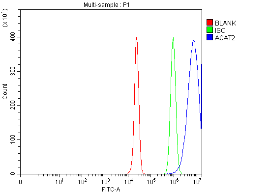 Anti-ACAT2 Antibody Picoband® Boster Bio