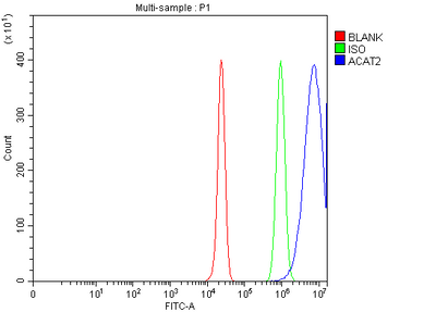 Anti-ACAT2 Antibody Picoband® Boster Bio