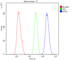 Anti-AFF4 Antibody Picoband® Boster Bio