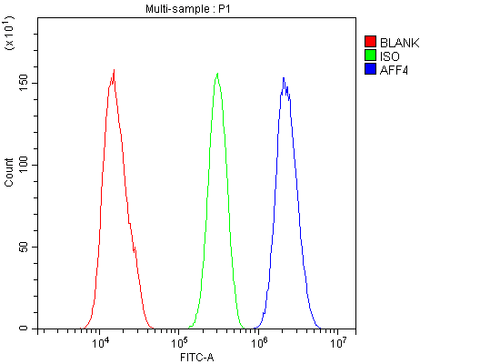 Anti-AFF4 Antibody Picoband® Boster Bio
