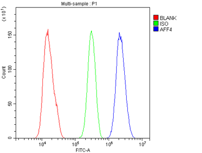 Anti-AFF4 Antibody Picoband® Boster Bio