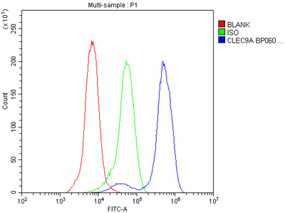Anti-CLEC9A Antibody Boster Bio
