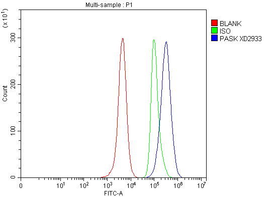 Anti-PASK Antibody Boster Bio