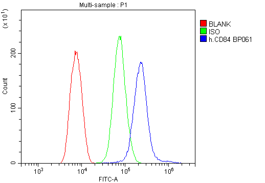 Anti-CD84 Antibody Boster Bio