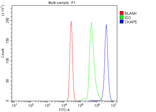 Anti-ch TOG/CKAP5 Antibody Picoband® Boster Bio
