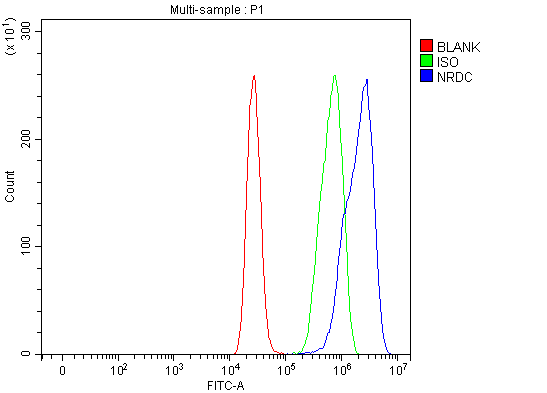 Anti-NRD1/NRDC Antibody Picoband® Boster Bio