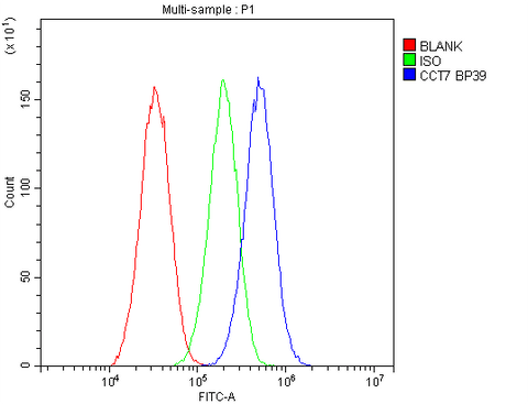 Anti-TCP1 eta/CCT7 Antibody Picoband® Boster Bio