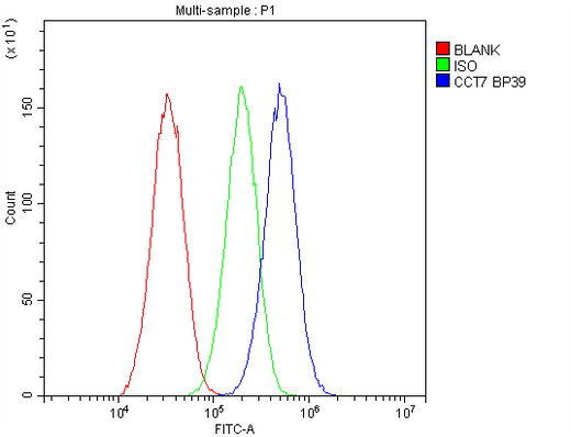 Anti-TCP1 eta/CCT7 Antibody Picoband® Boster Bio