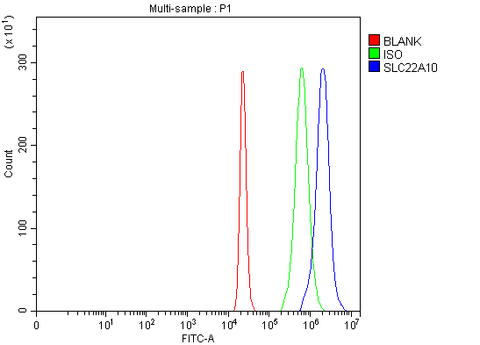 Anti-SLC22A10 Antibody Picoband® Boster Bio