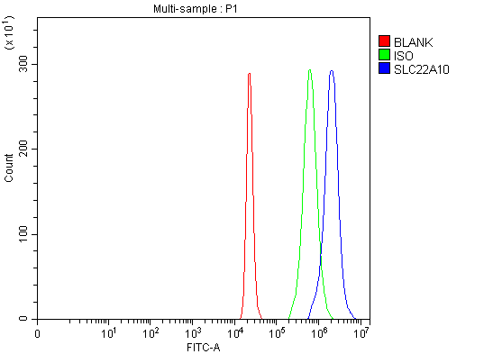 Anti-SLC22A10 Antibody Picoband® Boster Bio