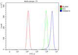 Anti-RAB44 Antibody Picoband® Boster Bio