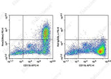 Anti-Mouse Nos2 Antibody [W16030C] - ABMIUM