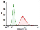 Anti-Human CD340 Antibody [chA21] - ABMIUM