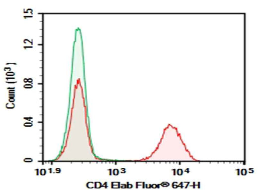 Anti-Human CD4 Antibody [13B8.2] - ABMIUM