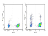 Anti-Human CD159a Antibody [S19004C] - ABMIUM