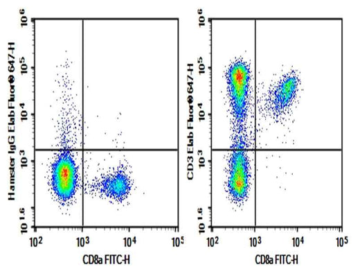 Anti-Mouse CD3e Antibody [500A2] - ABMIUM