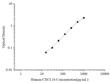 Uncoated Human CXCL16 (Chemokine C-X-C-Motif Ligand 16) ELISA Kit - ABMIUM