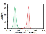 Human peripheral blood lymphocytes were stained with 0.2 μg AF/LE Purified Anti-Human CD58 Antibody[TS2/9.1] (Right) and 0.2 μg Mouse IgG1, κ Isotype Control (Left), followed by FITC-conjugated Goat Anti-Mouse IgG Secondary Antibody.