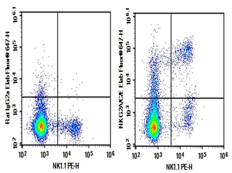 Anti-Mouse NKG2A/C/E Antibody [20D5] - ABMIUM