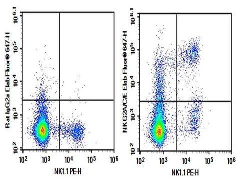 Anti-Mouse NKG2A/C/E Antibody [20D5] - ABMIUM