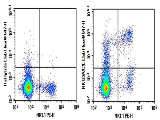 Anti-Mouse NKG2A/C/E Antibody [20D5] - ABMIUM