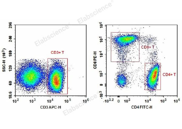 Human peripheral blood lymphocytes are stained with Anti-Human CD3-APC/CD4-FITC/CD8a-PE.