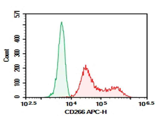 Anti-Human CD266 Antibody [ITEM-1] - ABMIUM
