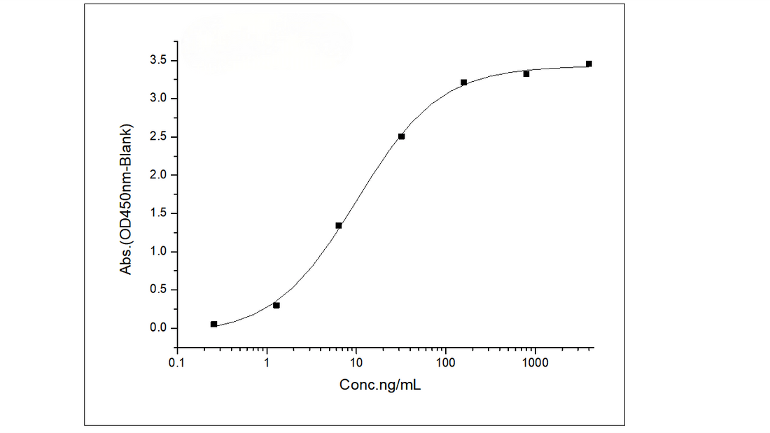 Immobilized Recombinant Human IL13RA2 / IL13R Protein (His & Fc Tag) (Cat: PKSH031658) at 1 μg/mL (100 μL/well) can bind Anti- IL-13 R alpha 2/IL13RA2 antibody, human IgG1, the EC<sub>50</sub> is 4.5-14.0 ng/mL.