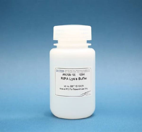 RIPA Lysis Buffer Boster Bio