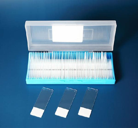 Poly-L-Lysine Coated Slides Boster Bio