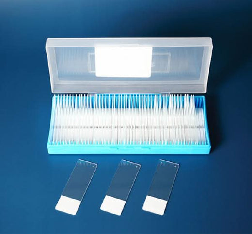 Poly-L-Lysine Coated Slides Boster Bio