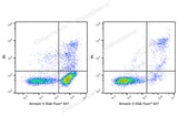 Annexin V-Elab Fluor® 647/PI Apoptosis Kit - ABMIUM