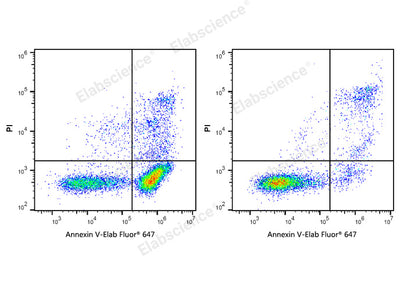 Annexin V-Elab Fluor® 647/PI Apoptosis Kit - ABMIUM