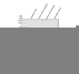Anti-Zebrafish HNF4A Antibody Picoband® Boster Bio