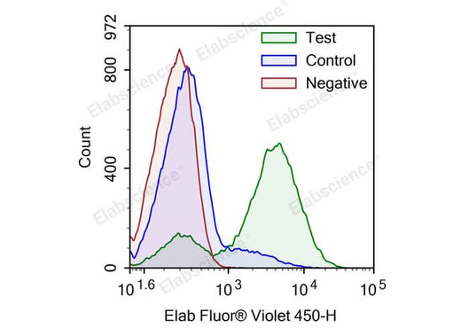 Camptothecin-induced apoptosis in HL-60 cells. Test: HL-60 cells were treated with 2.5 μM Camptothecin for 4h. Control: Normal HL-60 cells were not treated with drugs. Negative: HL-60 cells were treated with 2.5 μM camptothecin for 4h without TdT enzyme.