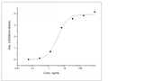 Immobilized Anti-B7-H3 Antibody, IgG1 Kappa at 2 μg/mL (100 μL/well) can bind Recombinant Rat B7-H3 / CD276 Protein (His Tag) (Cat: PKSR030192), the EC<sub>50</sub> is 1.8-6 ng/mL.