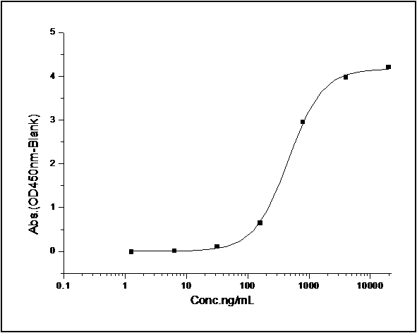 Measured by its binding ability in a functional ELISA. Immobilized human GPC5 at 5 μg/ml (100 μl/well) can bind human bFGF with a linear range of 0.156-2.5 ng/ml.
