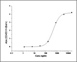 Measured by its binding ability in a functional ELISA. Immobilized human GPC5 at 5 μg/ml (100 μl/well) can bind human bFGF with a linear range of 0.156-2.5 ng/ml.