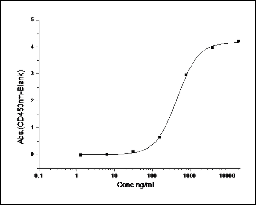 Measured by its binding ability in a functional ELISA. Immobilized human GPC5 at 5 μg/ml (100 μl/well) can bind human bFGF with a linear range of 0.156-2.5 ng/ml.