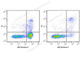 Annexin V-APC/PI Apoptosis Kit - ABMIUM