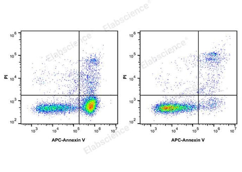 Annexin V-APC/PI Apoptosis Kit - ABMIUM
