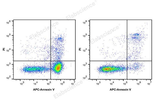 Annexin V-APC/PI Apoptosis Kit - ABMIUM