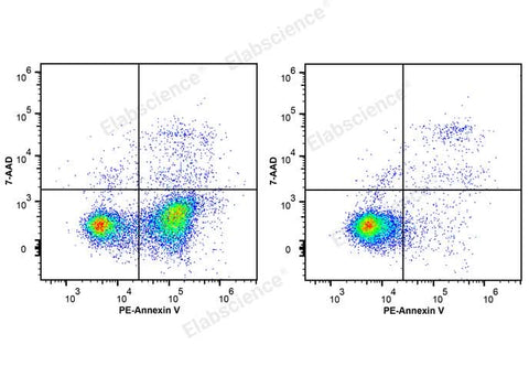 Annexin V-PE/7-AAD Apoptosis Kit - ABMIUM