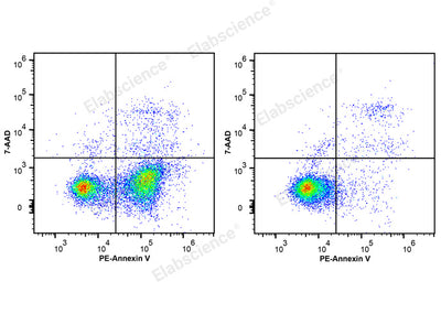 Annexin V-PE/7-AAD Apoptosis Kit - ABMIUM