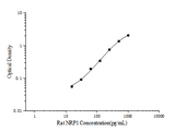 Rat NRP1(Neuropilin 1) ELISA Kit - ABMIUM