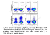 Human peripheral blood lymphocytes were stimulated with Cell Stimulation MIX and Protein Transport Inhibitor MIX for 5 hours, fixed, permeabilized, and then stained with CD3 FITC, IFN-γ PE and IL-4 APC.