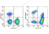 Human peripheral blood lymphocytes are stained with Anti-Human CD3-FITC/CD19-APC/CD16+CD56-PE.