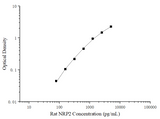 Uncoated Rat NRP2(Neuropilin 2) ELISA Kit - ABMIUM