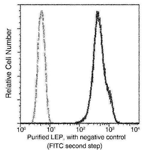 Anti-Human LEP Antibody [A1295] - ABMIUM