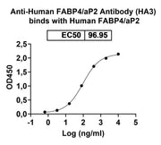 Anti-Human FABP4/aP2 Antibody (HA3) binds to Recombinant Mouse FABP4 Protein, N-His in ELISA Assay
